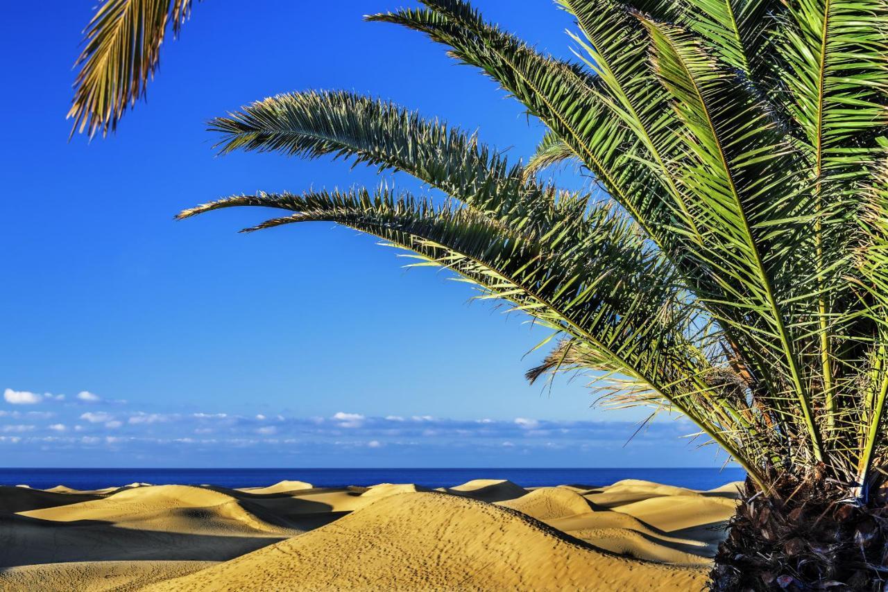 Las Adelfas South Beach 5 By Canariasgetaway San Bartolomé Екстериор снимка